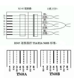千兆網線的制作方法（六類/超五類線）